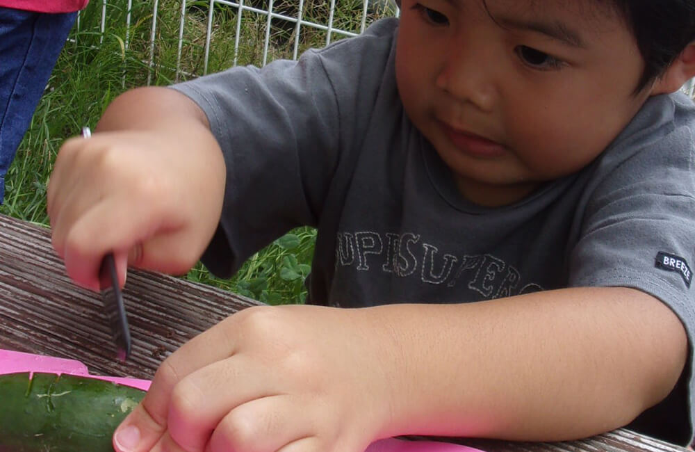 月2回土曜日の食事提供を通して食育を行います。写真は事業所の畑で採れたきゅうりを調理している場面です。（オレンジ2）